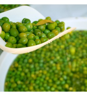 Edremit Yeşil Zeytin 1000gr Edremit Yeşil Zeytin 1000gr